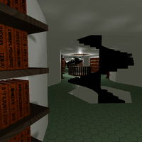 The view down an endless hallway, countless books with gibberish titles